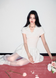 Polo Collar Flower Skirt Dress